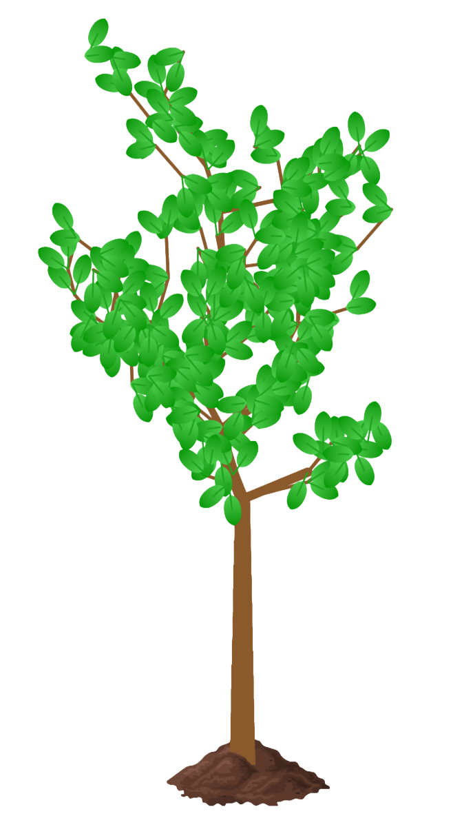 Habitree Tree